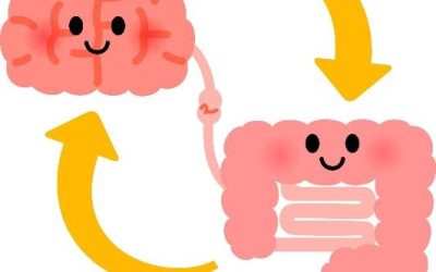 The Brain–Gut Traffic Lane That Changed My Life